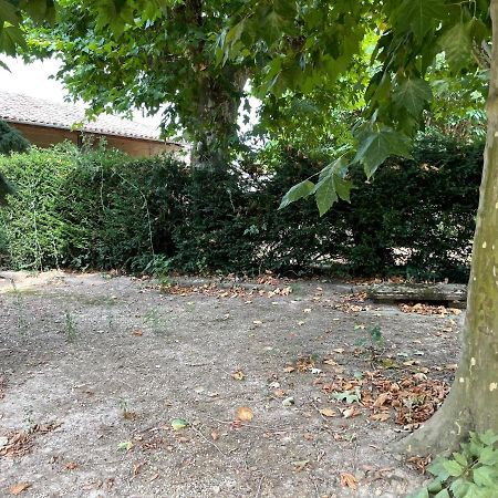 Le Clos Des Cadots - Chambre Chaintré エクステリア 写真